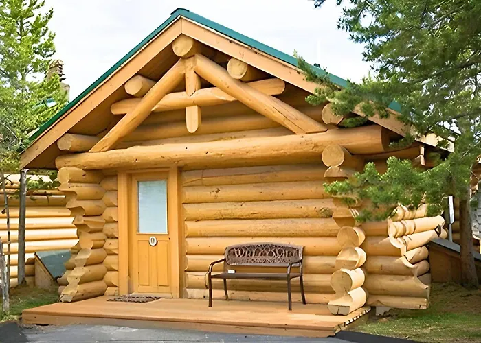 Hibernation Station